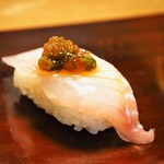 英ちゃん冨久鮓 - アコウ