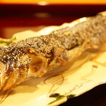 わらび野 - 岩魚の塩焼き（2016/5）