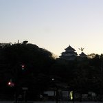 CoCo壱番屋 - 和歌山城の夜景です。いい雰囲気が出ていますよね。