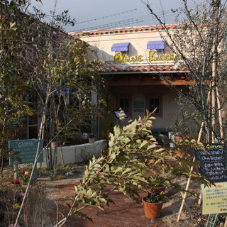 オリーブ キッチン_0