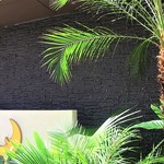 Asian kitchen LUNA - 