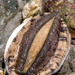 Live domestic natural black abalone (from Awaji Island/Sanriku/Nagasaki) Hamayaki