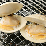Live white clam (large) [vinous clam] (produced in Chiba) Hamayaki