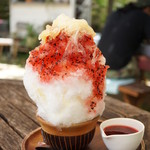 ドラゴンフルーツとシークヮーサー氷（小・480円）