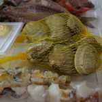 小田原さかなセンター - 