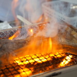 小田原さかなセンター - 