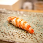 鮨 たかはし - 車海老