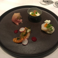 MOTORA  - 