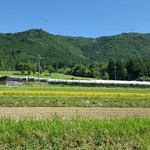 Koshihatafurendopakumatsubara - 