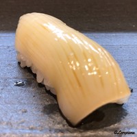 豊鮨 - 姫路産 新烏賊