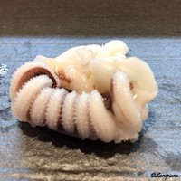 豊鮨 - 新烏賊 下足