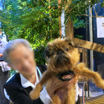 恵比寿 箸庵 - こんばんは・・♡