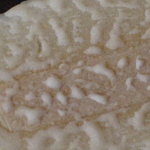 創作郷土菓子 榎本屋 - はじめ（アップ）