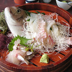 Shoutokumaru - 鯛の刺身