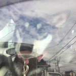 ピッザピッザピッザ - 