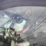 ピッザピッザピッザ - 