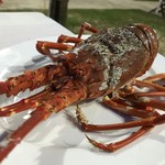 Phuong Thinh  - ２日目のロブスター