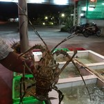 Phuong Thinh  - 立派なおヒゲ