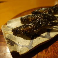 比良山荘 - 鮎顔アップ