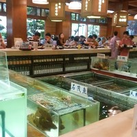 稚加榮 本店 - 店内には生簀が沢山