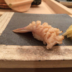 寿し ひでたか - ほっき