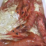 ピッザピッザピッザ - 