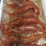 ピッザピッザピッザ - 