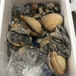 ピッザピッザピッザ - 