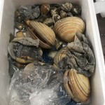 ピッザピッザピッザ - 