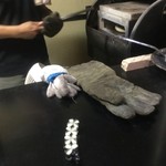 ピッザピッザピッザ - 