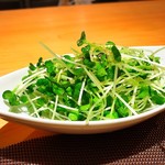 肉塊UNO - カイワレサラダ