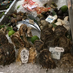 ボガマリ 渋二 - 