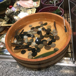 ボガマリ 渋二 - 