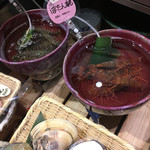 ボガマリ 渋二 - 