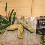 ボガマリ 渋二 - 