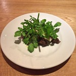 スガハラ - 北海道 ホルスタイン