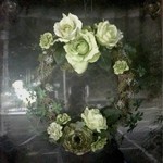 ラディーチェ - 