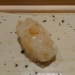 すし宮川  - ジンドウイカ