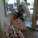 おいらのらーめん ピノキオ - 開店祝いの花