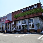 Cats Cafe - 