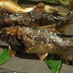 比良山荘 - 鮎の塩焼き