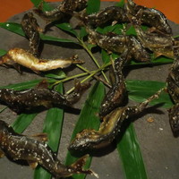 比良山荘 - 鮎の塩焼き（１回目）