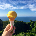 道の駅 伊方きらら館 - 料理写真: