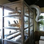 パクチーバル 8889 - 店内の風景です