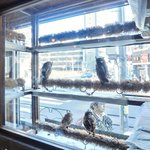 パクチーバル 8889 - 店内の風景です