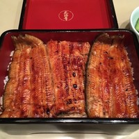 かぐら坂 志満金 - 鰻重　雅（3,240円→4,860円に値上げ）