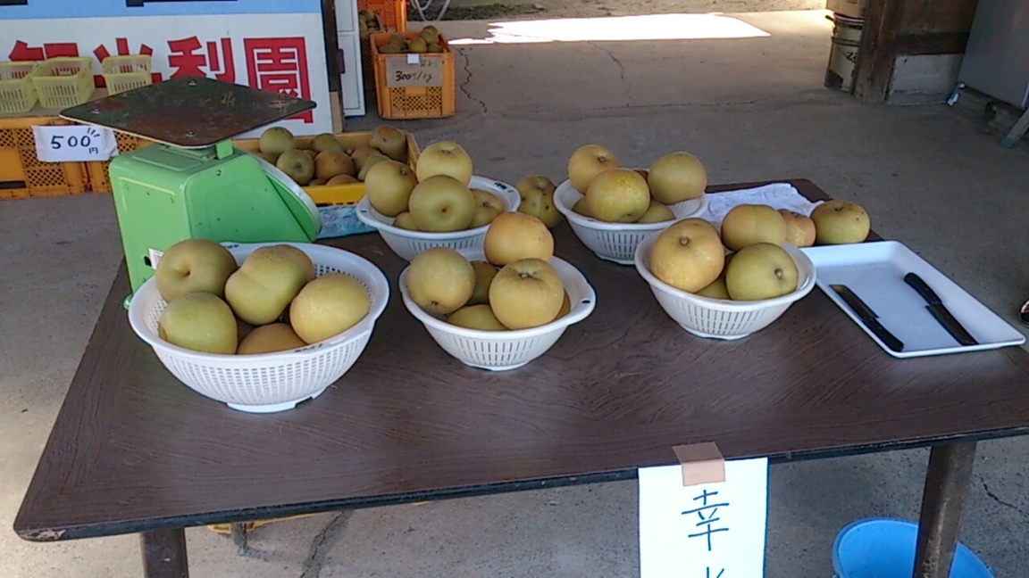 山田観光梨園 name=
