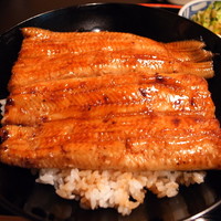 うなぎ秋本 - 共水うなぎ