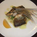 コルテロ - 長崎産トビウオのムニエル　1400円