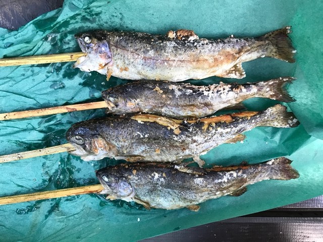 清水公園マス釣り場 清水公園 魚介料理 海鮮料理 食べログ 清水公園マス釣り場 清水公園 魚介料理 海鮮料理 食べログ